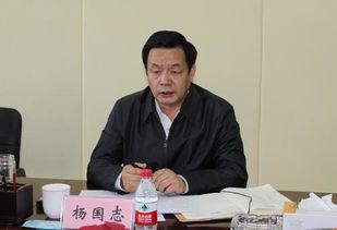 德保新闻头条杨国志,杨国志引领地区发展新篇章