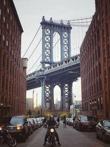 新乡2013年的网红,网络红人的崛起与影响力