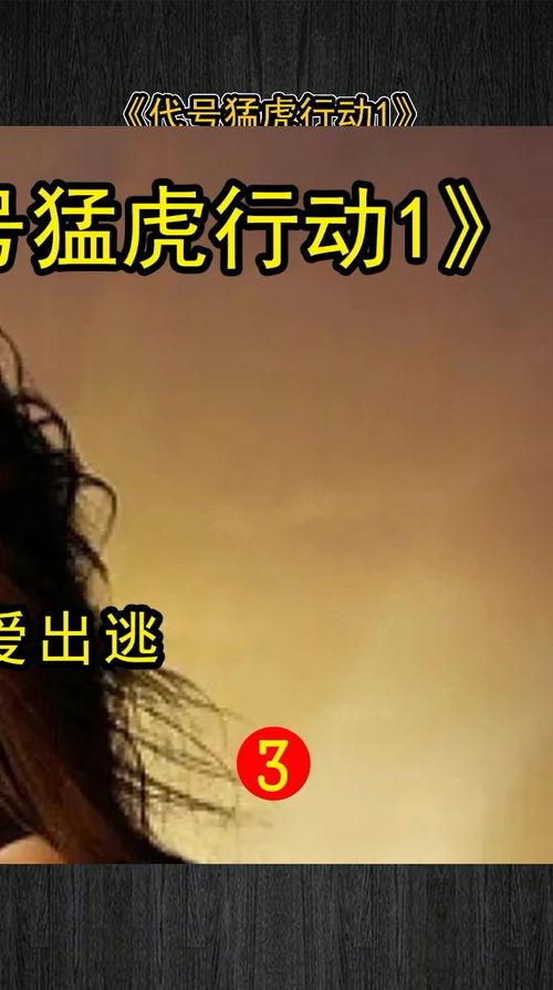 代号猛虎行动在线观看,揭秘神秘特工的惊险征程