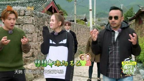 野生厨房明星,探寻自然与美食的完美融合之旅