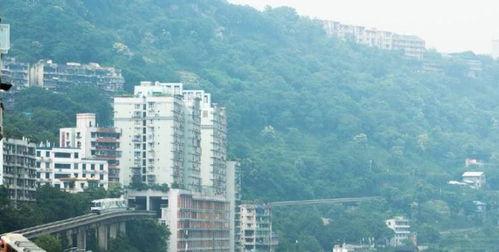 河南网红景区电量分析