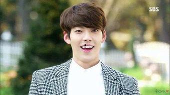 明星帅哥受,揭秘明星帅哥的魅力风采